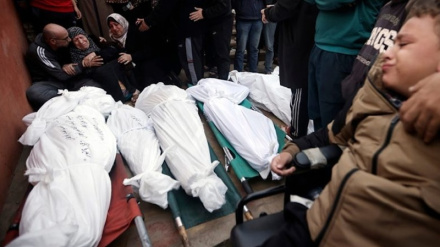 Рост числа палестинских мучеников; рынок, превратившийся в братскую могилу 