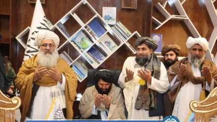 مولوي نجیب الله رفیع د دایکندي والي شو