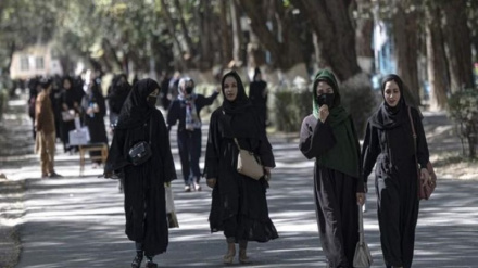 سرپرست حکومت دې زموږ پر مخ د پوهنتونونو دروازې پرانیزي