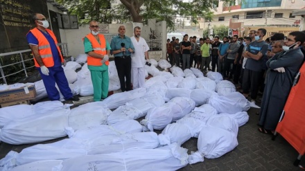 Gazze'deki Endonezya Hastanesi çevresinde onlarca şehidin cesedi bulundu