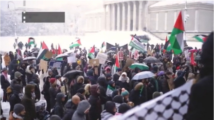 Almanya'nın karlı havasında Filistin'le dayanışma ilanının sekizinci haftası