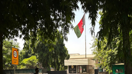په هند کې د افغانستان سفارت بیاځلې په فعالیت پیل وکړ