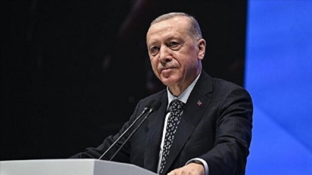 درخواست اردوغان برای اصلاح شورای امنیت سازمان ملل 