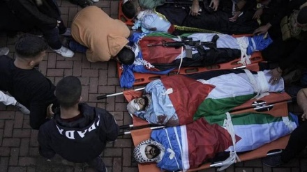 Hamasi: Sionistët vjedhin organet e trupit të martirëve të Gazës