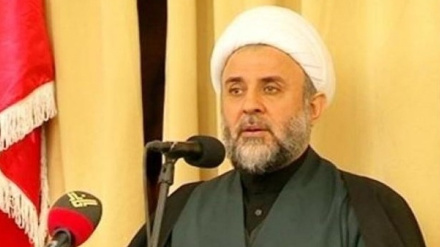 Готовность «Хезболлы» к любым внезапным действиям Америки и ее союзников в Красном море