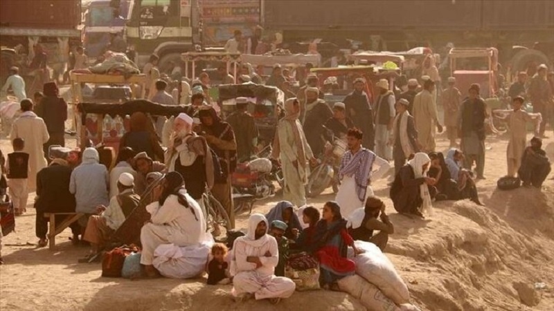 طالبان: 800 هزار مهاجر افغان از کشورهای همسایه اخراج شده‌اند