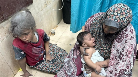 ЮНИСЕФ предупреждает о «крайней продовольственной бедности» в Газе