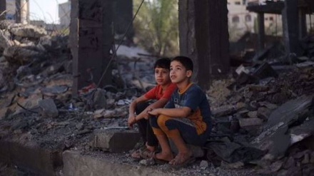  Disease could kill more children in Gaza than Israeli bombings: UN official 