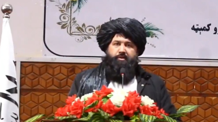 د لوړو زده کړو سرپرست وزیر په کونړ ولایت کې د داعش ډلې پر ځپلو ټینګار وکړ