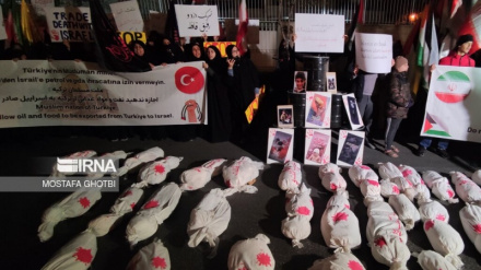 Акция протеста студентов Мешхеда перед консульством Турции