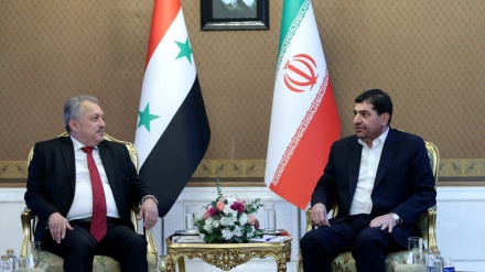 伊朗第一副总统穆赫贝尔：伊朗决心扩大与叙利亚的联合经济合作