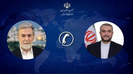 Последние события в Палестине – в центре беседы Амир-Абдуллахиана с Зиадом Нахале