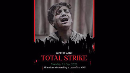 Palestinian factions call for global strike in solidarity with Palestinians in Gaza