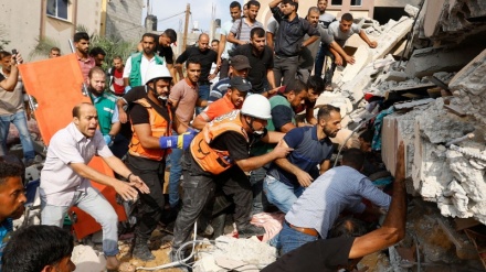 מחנה הפנטזיה