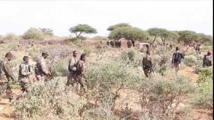Makumi ya magaidi wa al Shabaab waangamizwa Somalia