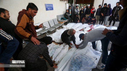 په غزې د صهیونیسټ رژیم په حملو کښې سل فلسطینیان شهیدان شول 