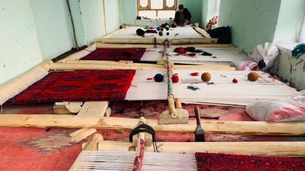 ایجاد نخستین کارگاه قالین بافی در تخار 