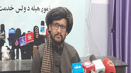ننګرهار کښې ټرافیکي پیښو کښې سلګونو کسان مړه او ژوبل شوي نور حال دلته لرو
