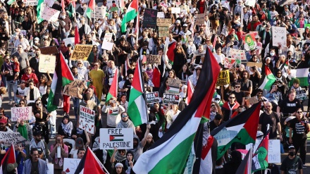 Митинг сторонников Палестины в Лос-Анджелесе 