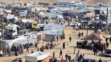 Pengungsi Palestina Mendirikan Kamp di Rafah, Dekat Perbatasan Mesir