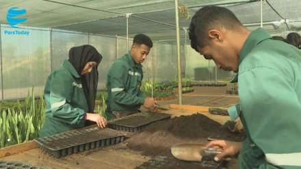 Sekolah Berkebun Pertama di Maroko dan Kesadaran Ekologi
