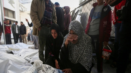 شهادت بیش از ۲۰۰ نفر در غزه طی ۲۴ ساعت گذشته