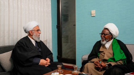 Ayatullah Ramezani: Sheikh Zakzaky ni mfano halisi wa mujahidi katika njia ya Mwenyezi Mungu 