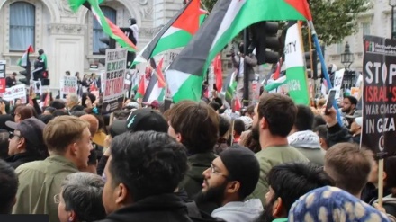 London university students 'targeted' over pro-Palestine rallies