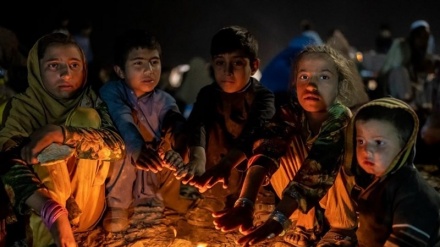 هشدار سازمان ملل درباره وضعیت پناهجویان اخراجی افغان از پاکستان 