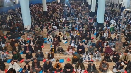 برگزاری مراسم عزاداری سالروز شهادت حضرت فاطمه زهرا (س) در افغانستان