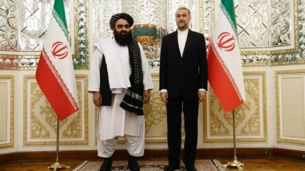 Amir-Abdollahian bekräftigt Lösung der bestehenden Probleme zwischen Iran und Afghanistan