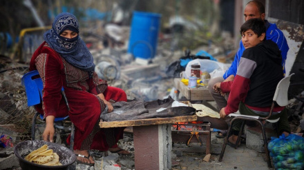 Всемирная продовольственная программа предупреждает о голоде в Газе 