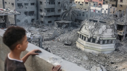 Begini Cara Anggota Parlemen Polandia Protes Kejahatan Israel di Gaza