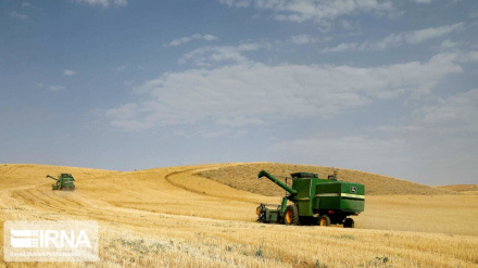 Самодостаточность Ирана в производстве многих стратегических продуктов