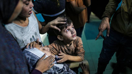 142 gra palestineze, përfshirë edhe foshnjat, mbahen në qendrat e paraburgimit të regjimit sionist