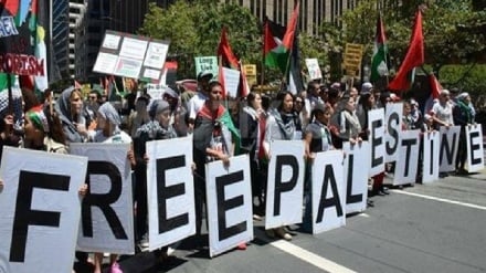 אוניברסיטה בארה