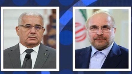Спикеры парламентов Ирана и Алжира подчеркнули на необходимости прекращения преступлений сионистов в секторе Газа