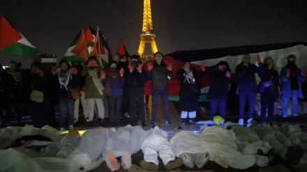 Мероприятие у подножия Эйфелевой башни в поддержку мучеников Газы