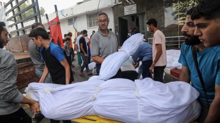 Të vrarët e paidentifikuar në Rripin e Gazës varrose në vareza masive/Foto