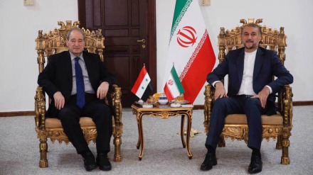 ‘গাজায় ইসরাইলি গণহত্যা এখনই বন্ধ করতে হবে’