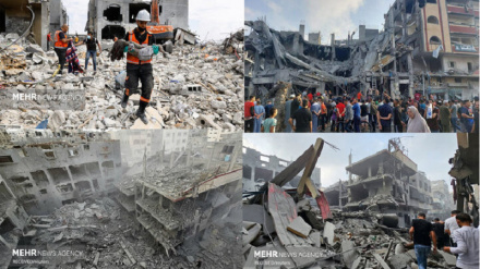 Резкая критика представителей французского парламента в адрес произраильского представителя