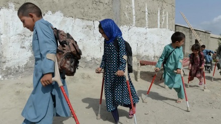 駐アフガンEU政治代表、「アフガン人の成人の８０％が２０年間の戦争により心身に障害」