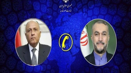 שרי החוץ של איראן ומצרים דנו ביחסים הבילטרליים וההתפתחויות באזור