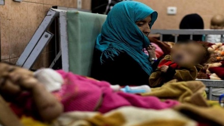 افغانستان درصدر کشورهای مبتلا به وبا در جهان؛ ثبت 204 هزار بیمار در سال 2023