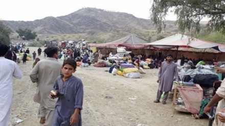  تاکید سازمان جهانی بهداشت برای کمک به پناهجویان بازگشته از پاکستان 