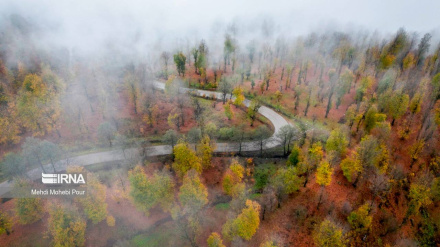 (FOTO) Gita d'autunno: i boschi più belli nel nord dell'Iran - 1