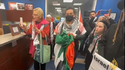 Сторонники Палестины собрались в Сенате США