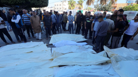 Պաղեստինցի զոհերի թիվն անցել է 20 հազարը