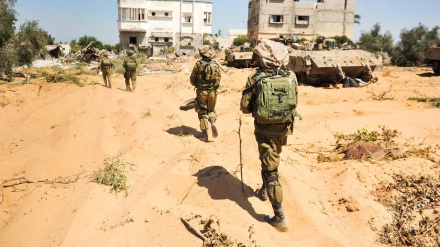 Европейская правозащитная организация: Сионистские оккупанты грабят собственность жителей Газы