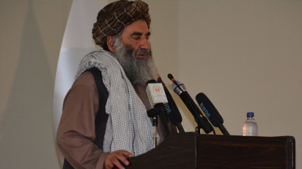 د افغانستان د کندهار د والي په مشرۍ د طالبانوپلاوی اسلام اباد ته رسېدلی